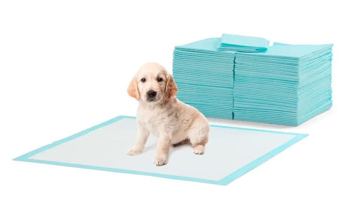 puppy training pads
